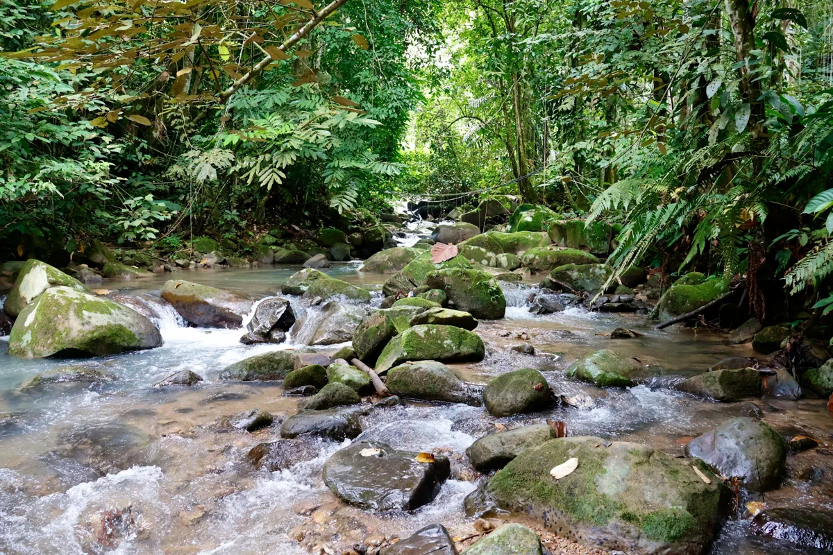 A rocky forest stream at Mari Mari Cultural Village in Sabah
